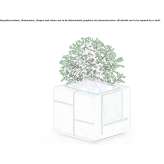 A low square, reconstructed stone flowerpot Nacaome